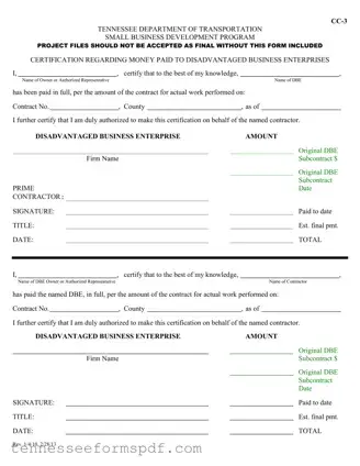 Fill Out Your Tennessee Cc 3 Form